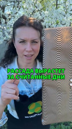 Рассада вырастет за считанные дни, если накрыть её этим