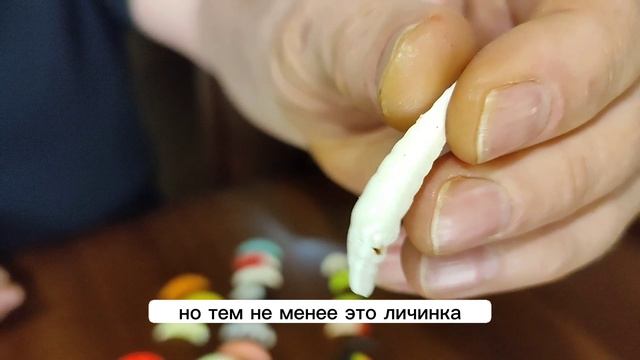 100% резина на форель!!! #резинанафорель #рыбалка #ловляфорели смотреть онлайн