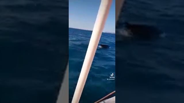 Отдых в Анапе 2021 год Апрель месяц. смотреть онлайн