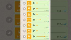Прикол про голосование