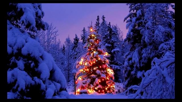 В лесу родилась елочка, в лесу пусть и живёт! смотреть онлайн