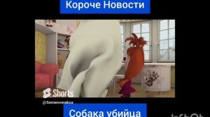 Барбоскины Короче Новости Все Серии