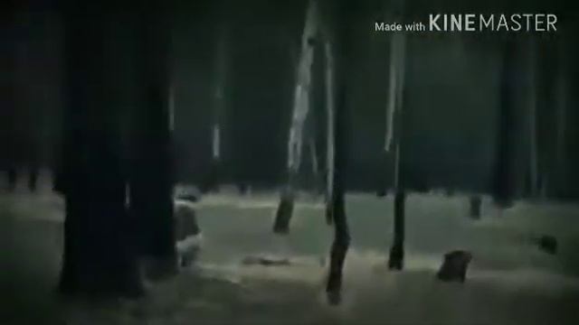 В Мире животных ПРИКОЛ