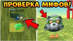 ✅ПРОВЕРКА МИФОВ В ЧИКЕН ГАН || Chicken Gun