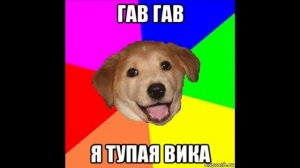 ВИКА Динисова тупая Дура