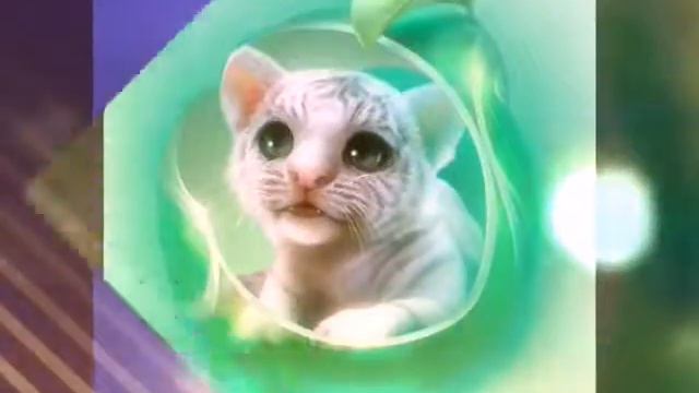 Прикольные картинки.Пишите в каментарий какие вам понравились!? смотреть онлайн