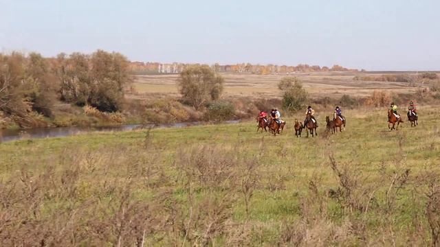 Усадьба "Старая Мельница". 13.10.13 Приз "Серебряный подстаканник". Автор: Владимир Гутенев смотреть онлайн