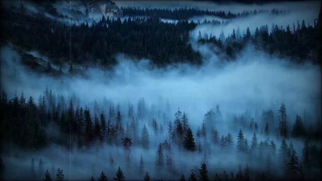 ИСТОРИИ ИЗ ЖИЗНИ. женщина сасла его. Жизненные истории / Интересные истории смотреть онлайн