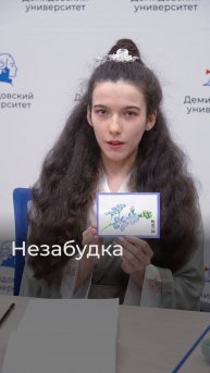 Цветочные мотивы в китайской культуре – незабудка и нарцисс