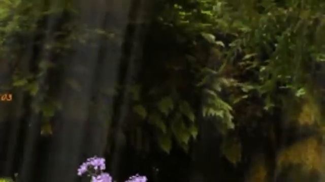 А.Завьялова и Л.Быков " Да любите друг друга " смотреть онлайн