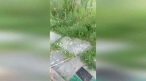 Прикольное видео #25 Семён Весёлый.