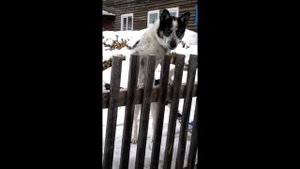 Богучаны, Красноярский край, Россия // Boguchany, Krasnoyarsky Krai, Russia