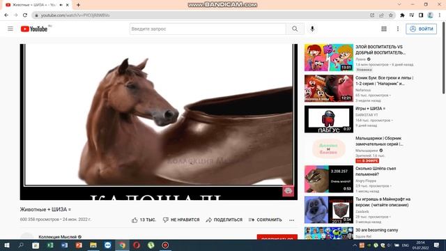 животные плюс шиза смотреть онлайн