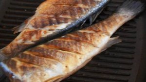 Рыба-гриль с теплым салатом из редиса, фенхеля и рукколы.