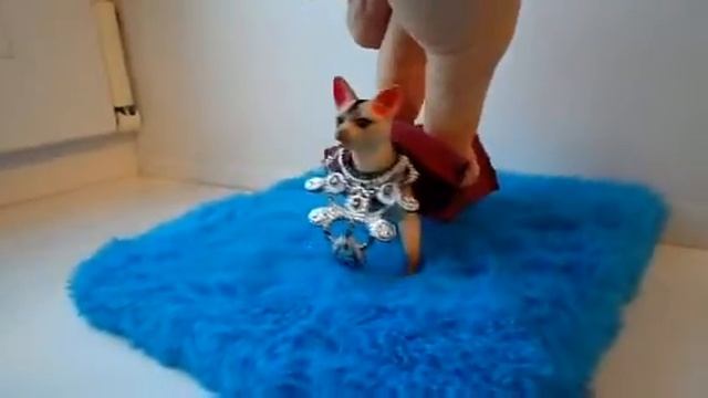 Лайма под НГ уехала на конкурс?/ 1 место?! смотреть онлайн