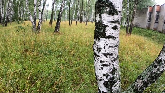 "Глобус" VS "РНПК" 6.07.2019: раунд1 смотреть онлайн