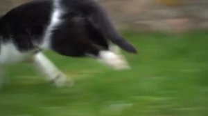 ВОПРОСЫ от ПОДПИСЧИКОВ! /а ну-ка давай-ка канал\