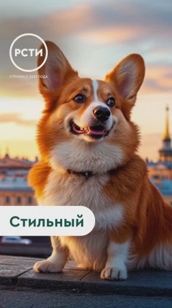 ЖК «Кинопарк»