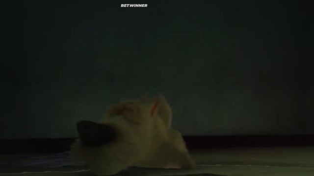 Смешной момент из мультфильма 100% Волк. Прорвало (2\2) смотреть онлайн