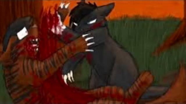 Смерти котов воителей