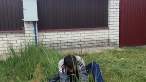 Приколы алкашей Лёха запел