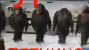 Прикол про пятницу