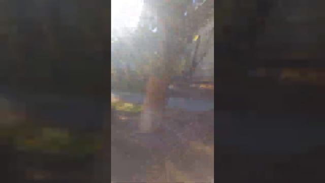 Мои друзья издеваются над Алисой в телефоне #3 смотреть онлайн