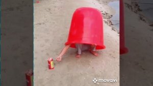 Смешные приколы  // Самые тупые поступки людей