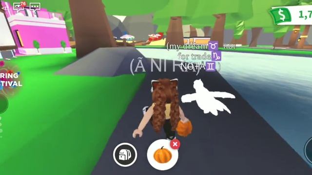New : SPRING FESTIVAL ( весенний фестиваль )