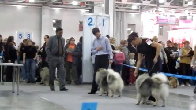 сравнение промежуток смотреть онлайн