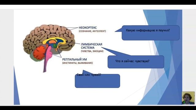 5.6. Правила альтернативной коммуникации