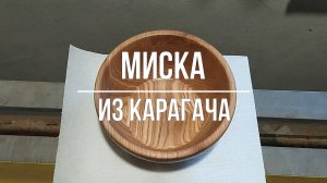 Миска из Карагача
