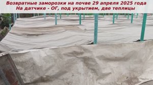 Заморозки 29 апреля 2025 года, -5,5 мороза более двух часов и отрицательные температуры больше 8 ч.