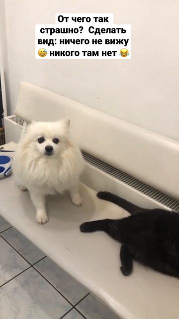 Ничего не вижу ничего не слышу!!! Лучший способ: не смотреть даже 