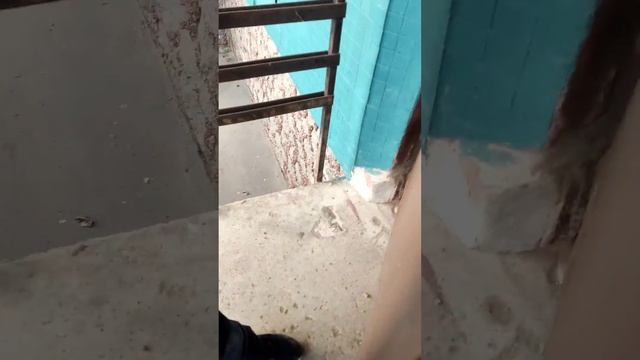 Прикол над домофоном #2 смотреть онлайн