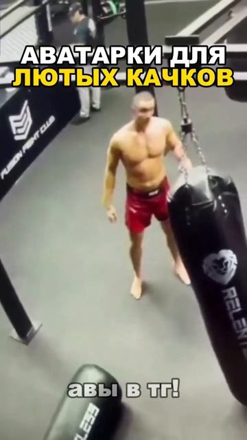 скачать аватарки можно в ШАПКЕ ПРОФИЛЯ! #аватарки #авы #анимеавы #рофлавы #аниме #качалка #качки смотреть онлайн