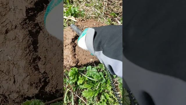 На утро овсянка с солью и перцем. Мукбанг. Коп 
#мукбанг