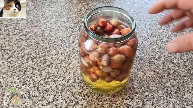 Чем обработать Лук перед посадкой от болезней и луковой мухи. Хитрости обработки лука и не только смотреть онлайн
