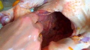 Очень вкусная Индейка в духовке с апельсинами и яблоками!