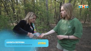 Как оказать первую помощь на пикнике