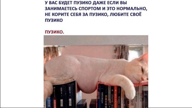 А на каком я уроке?) Приколы с котами | Мемозг 617 смотреть онлайн