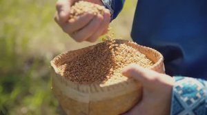 Приглашаем на праздник первой борозды 2025_