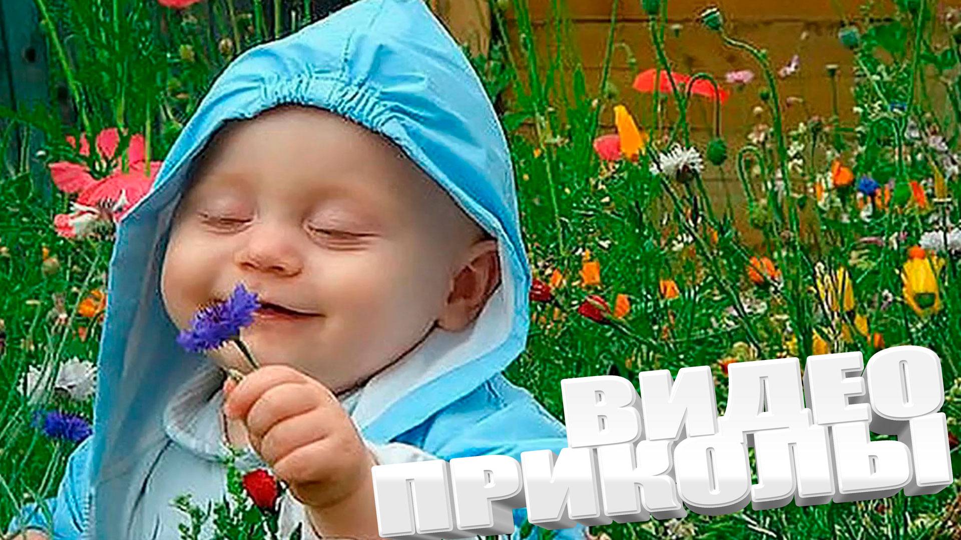 ПРИКОЛЫ С ДЕТЬМИ \ НАРЕЗКА СМЕШНЫХ ПРИКОЛОВ С ДЕТЬМИ \ САМЫЕ СМЕШНЫЕ ДЕТКИ