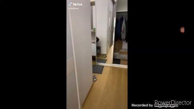 Хто я? - я лягушка Анигиляторная пушка!!!(Осторожно мат) полная ржака часть 4!!! смотреть онлайн