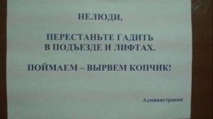 Смешные объявления в подъездах