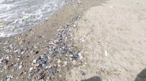 Kahya Resort and Spa обзор пляжа