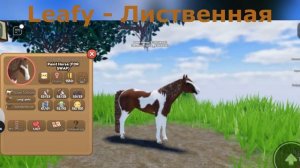 Все иухи Лесного острова! / Wild Horse Islands
