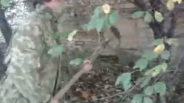 Прикол про деда..mp4 смотреть онлайн