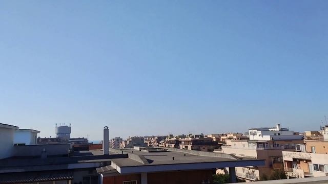 Рим и мой Питерский кот Зевс гуляет по терассе и сороки его приветствуют. смотреть онлайн