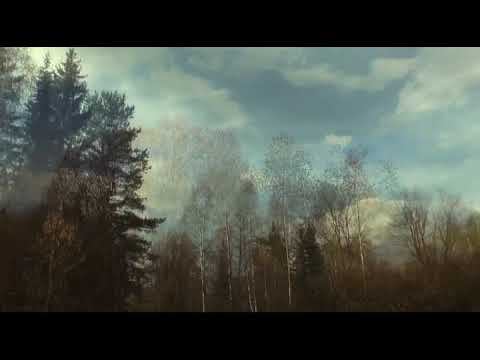 Осень Зарисовка Читает Владислав Витковский смотреть онлайн